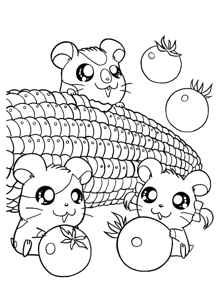 Plansa de colorat cu Hamsteri 31 25